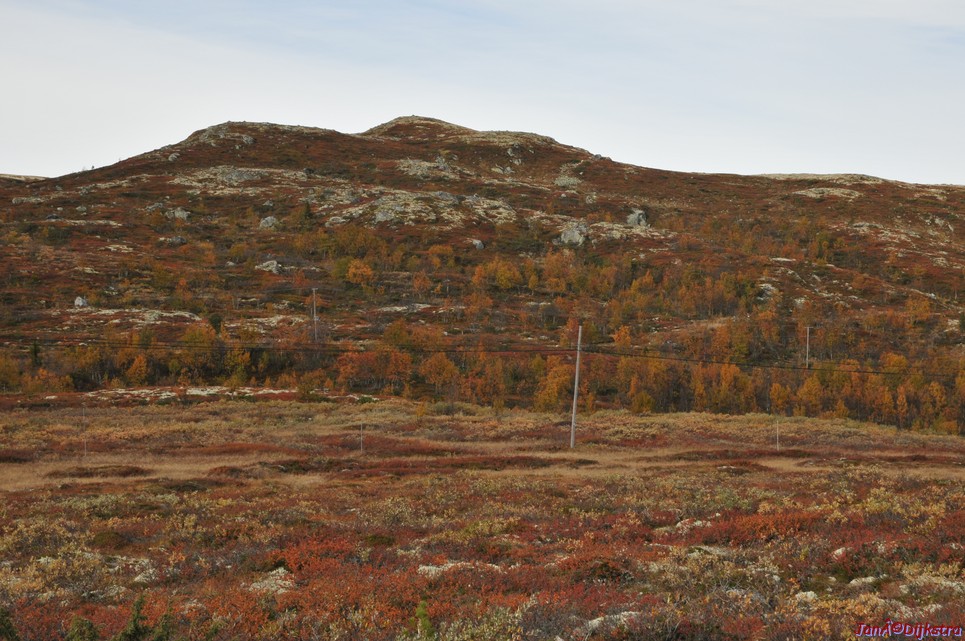DSC_1482.JPG