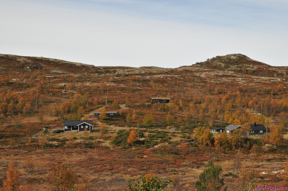 DSC_1483.JPG