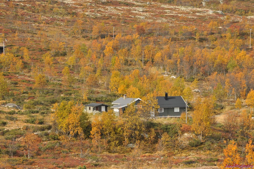 DSC_1484.JPG
