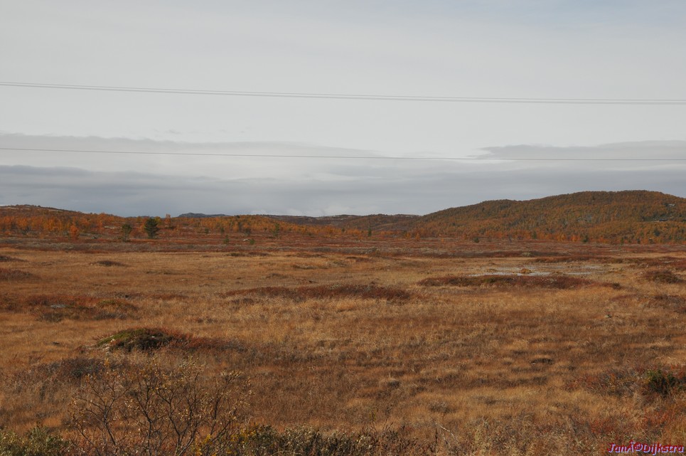DSC_1486.JPG