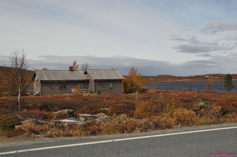 DSC_1487.JPG