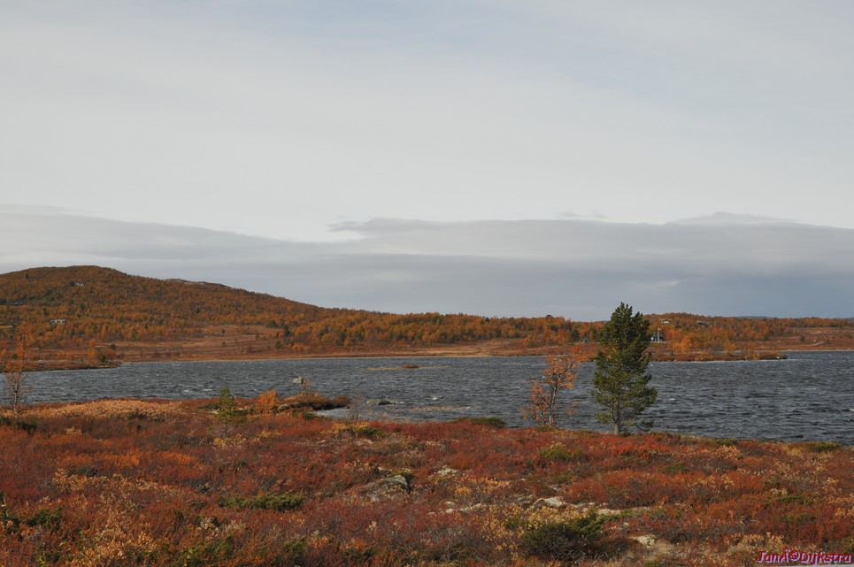 DSC_1488.JPG