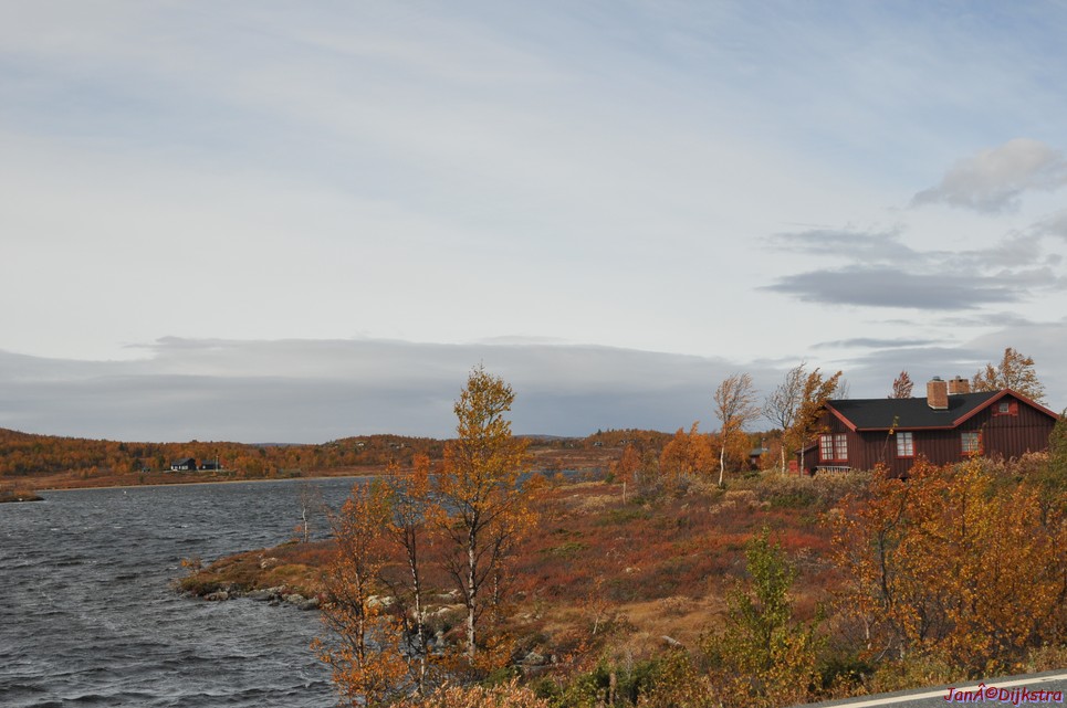 DSC_1489.JPG