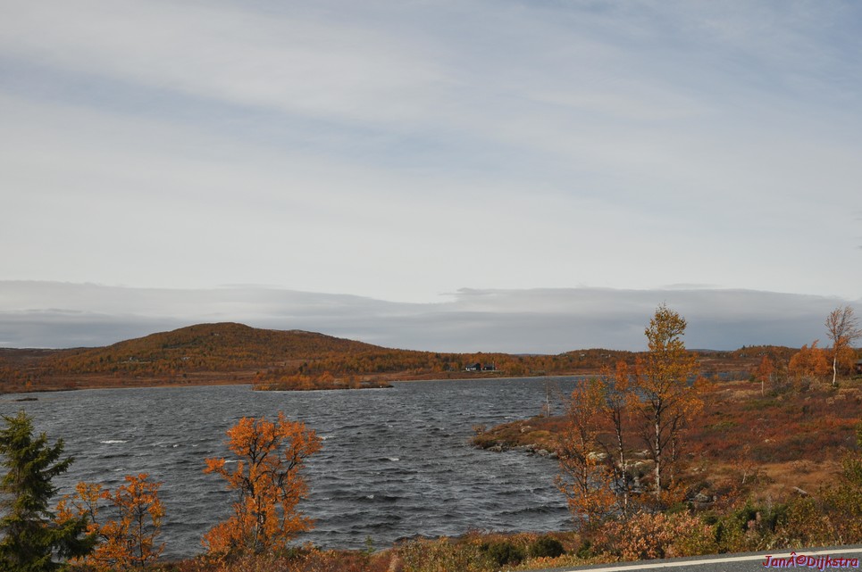 DSC_1490.JPG