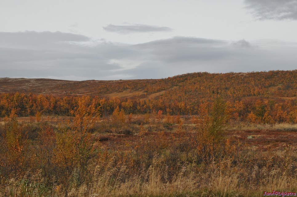 DSC_1491.JPG