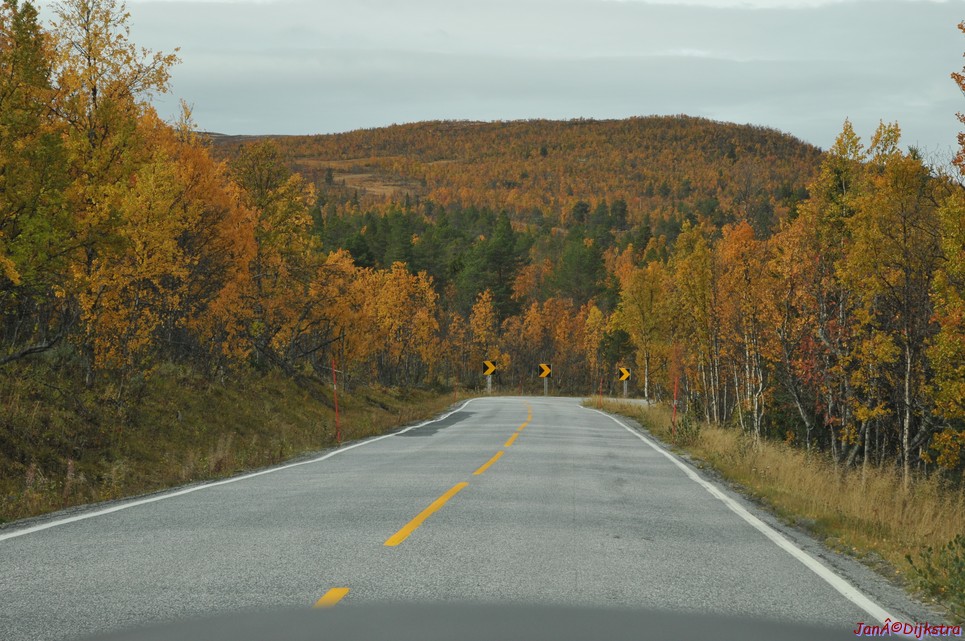 DSC_1492.JPG