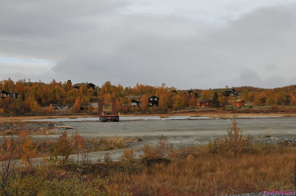 DSC_1494.JPG