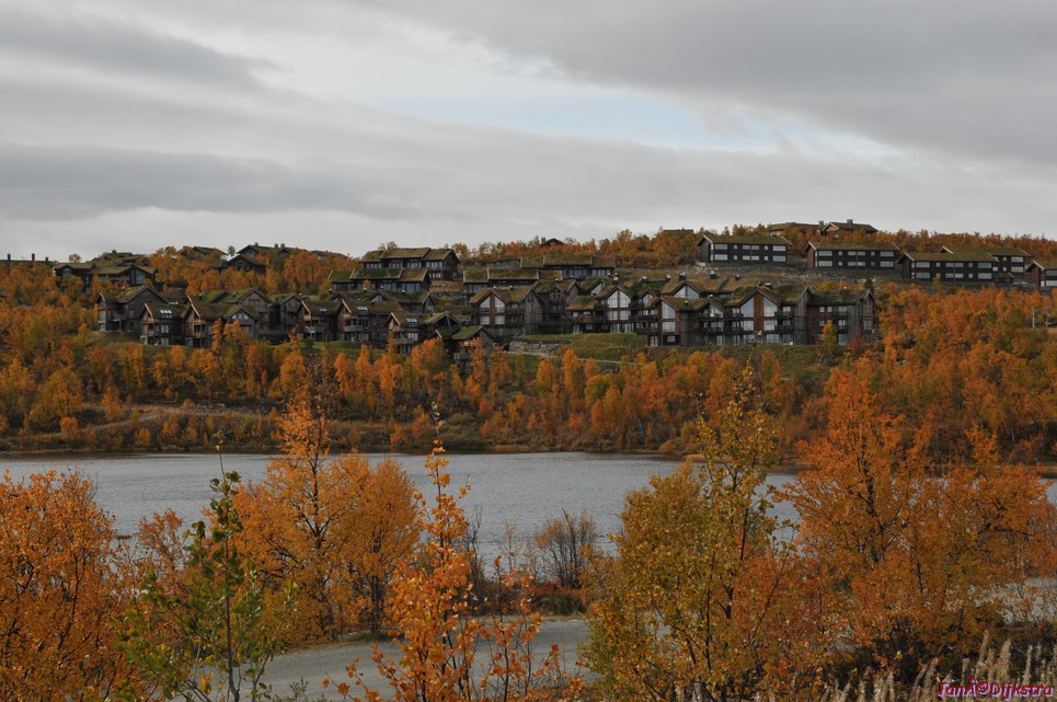 DSC_1495.JPG