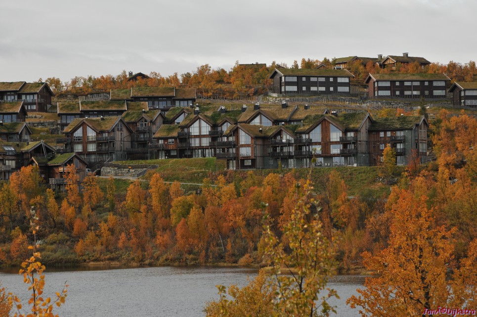 DSC_1496.JPG