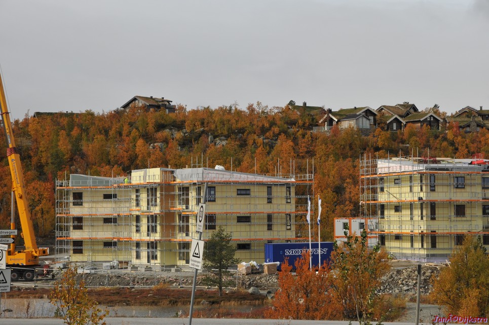 DSC_1498.JPG