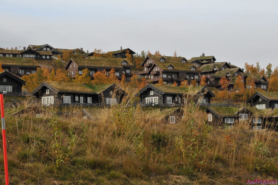 DSC_1499.JPG