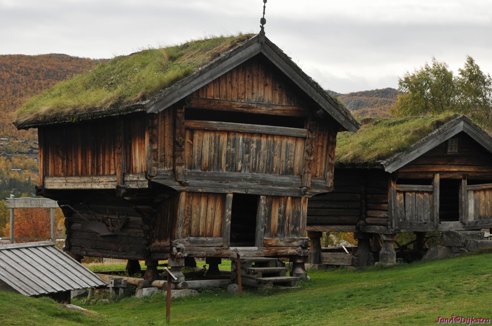 DSC_1503.JPG