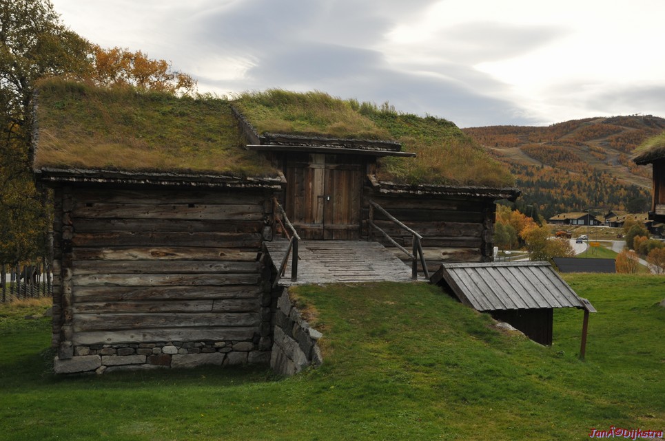 DSC_1504.JPG