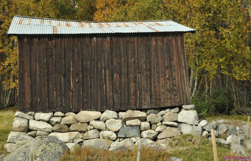 DSC_1508.JPG