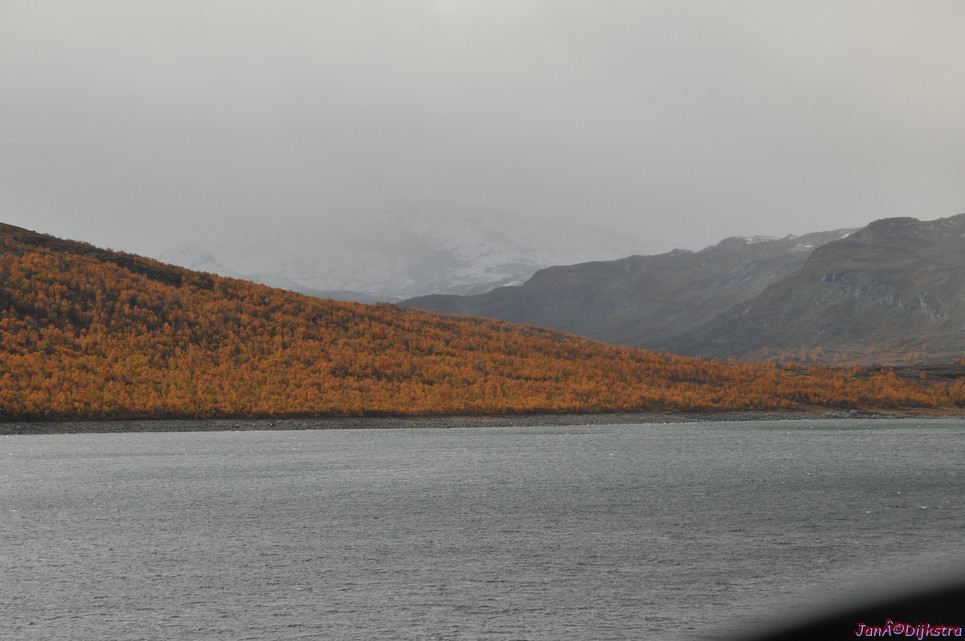 DSC_1513.JPG