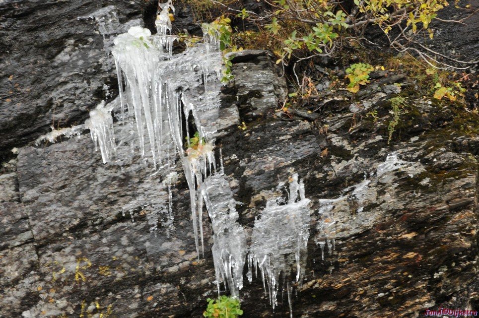 DSC_1526.JPG