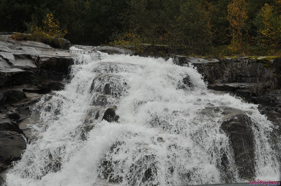 DSC_1531.JPG