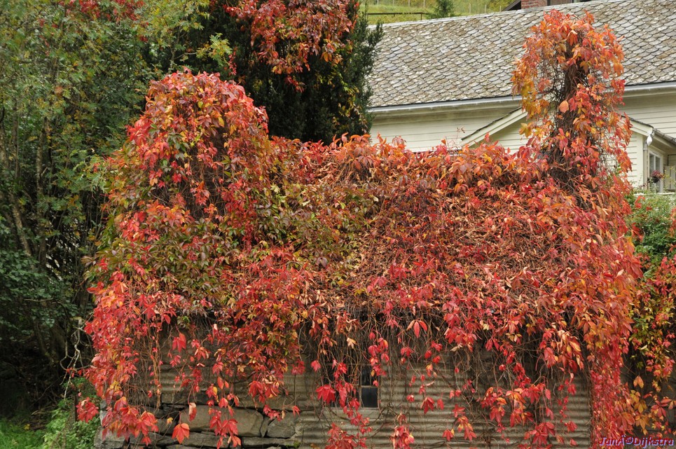 DSC_1544.JPG