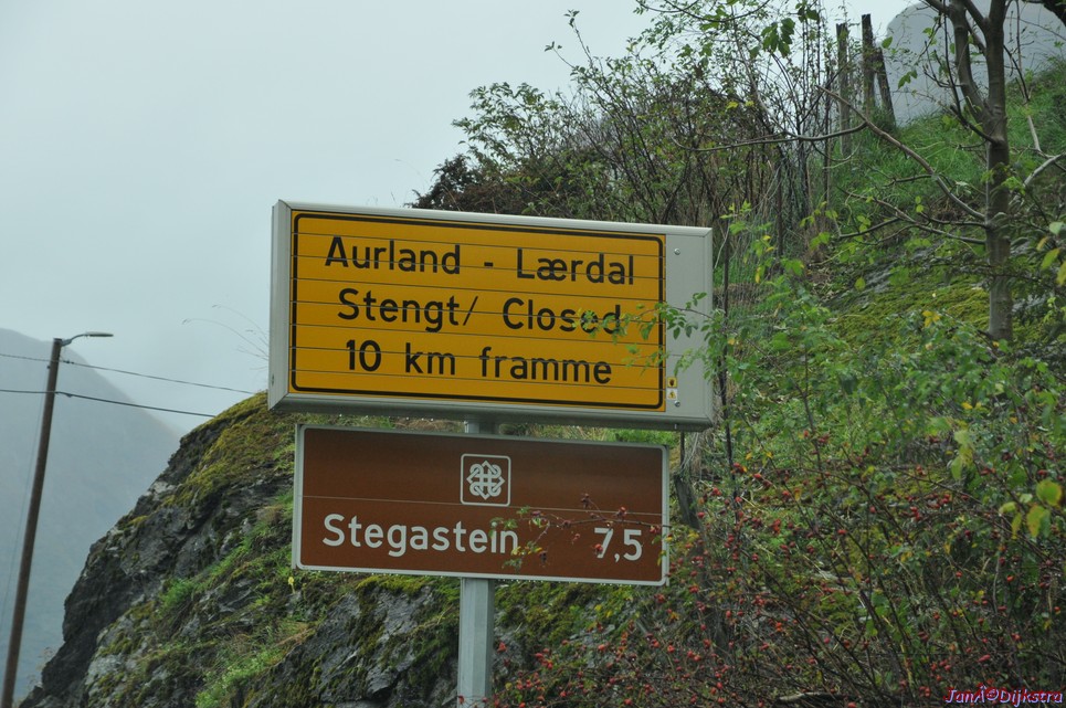 DSC_1547.JPG
