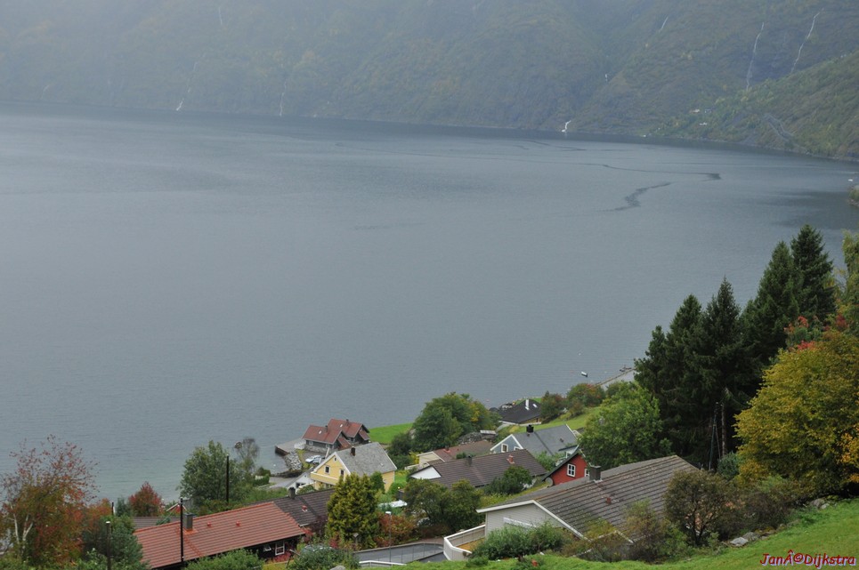DSC_1548.JPG