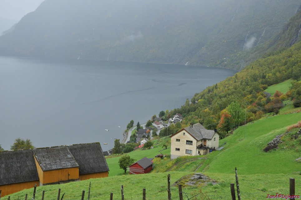 DSC_1549.JPG