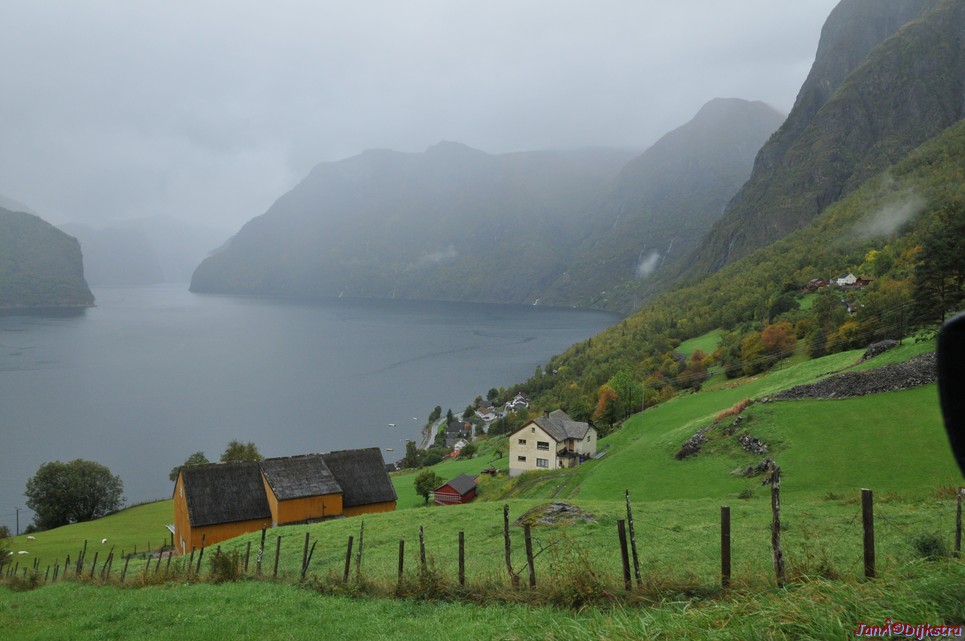 DSC_1550.JPG