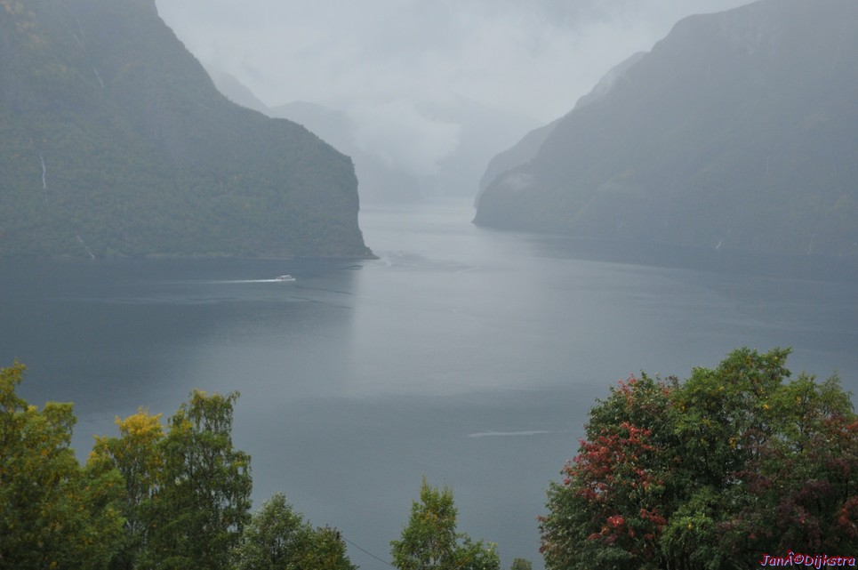 DSC_1553.JPG