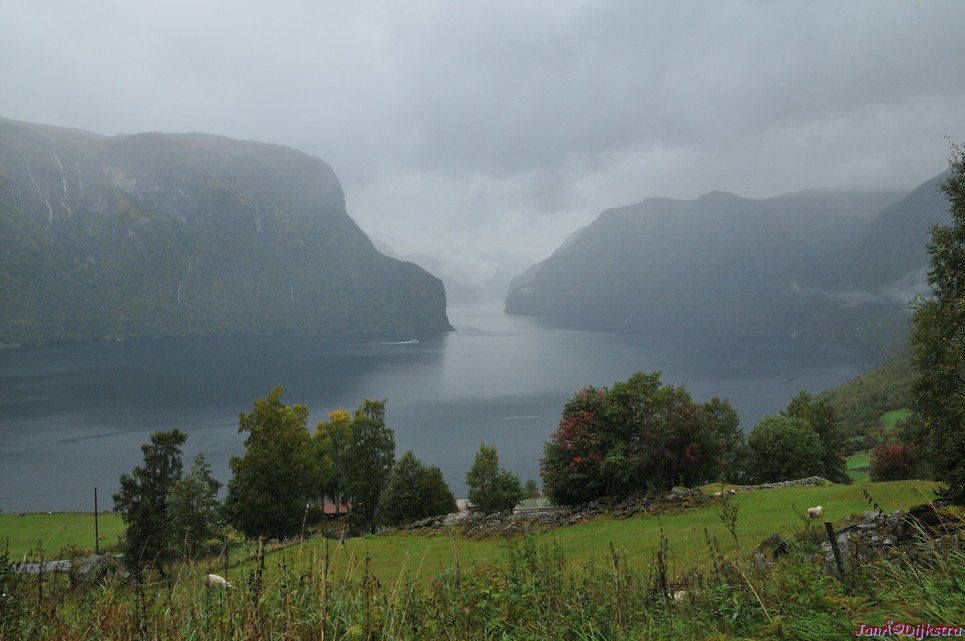 DSC_1554.JPG
