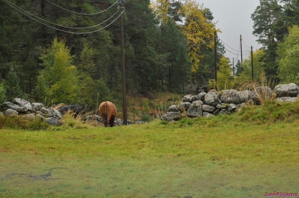 DSC_1566.JPG