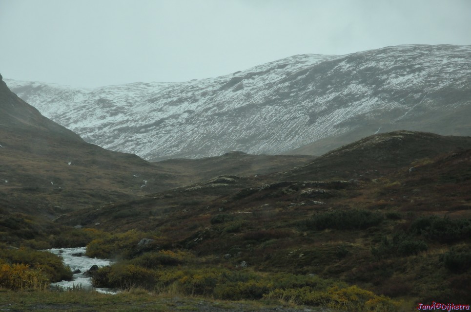DSC_1571.JPG