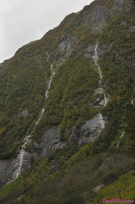 DSC_1590.JPG
