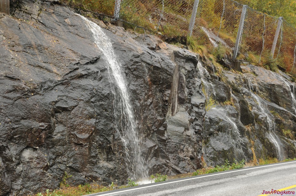 DSC_1592.JPG
