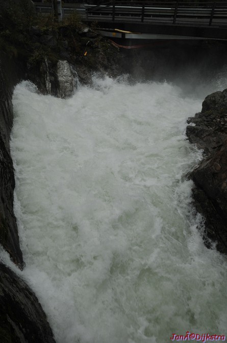 DSC_1600.JPG