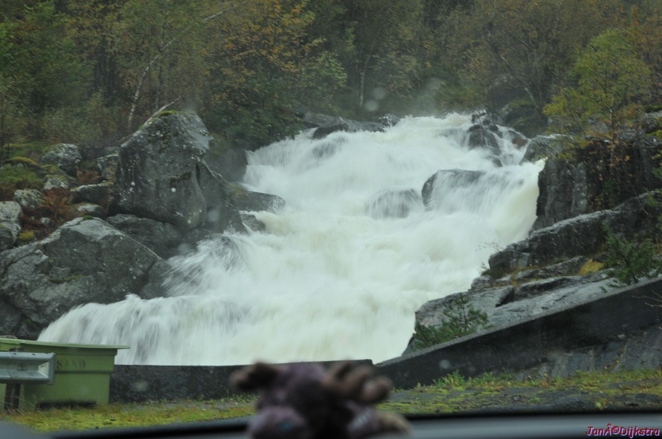 DSC_1602.JPG