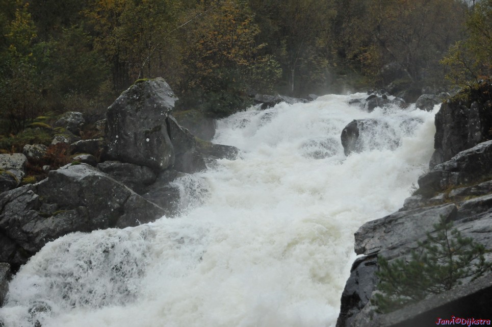DSC_1606.JPG