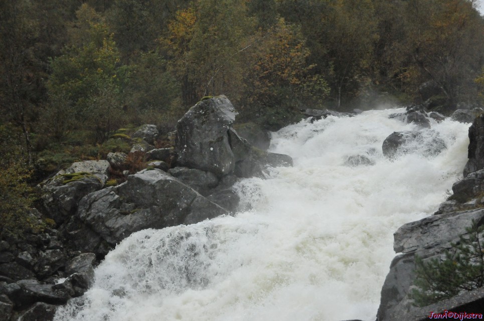 DSC_1607.JPG