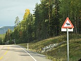 DSC_1457.JPG