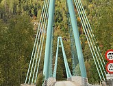 DSC_1461.JPG