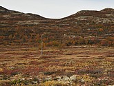 DSC_1481.JPG