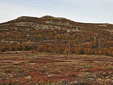 DSC_1482.JPG