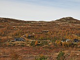 DSC_1483.JPG