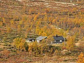 DSC_1484.JPG