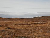 DSC_1486.JPG