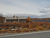 DSC_1487.JPG