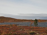 DSC_1488.JPG