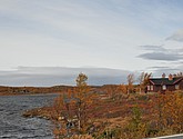 DSC_1489.JPG