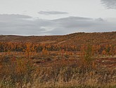 DSC_1491.JPG