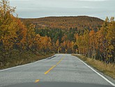 DSC_1492.JPG