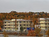 DSC_1498.JPG