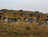 DSC_1499.JPG